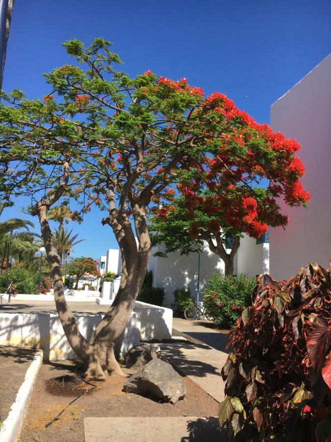 Los Barqueros Corralejo "Beach Front - Town Centre" Lägenhet Exteriör bild